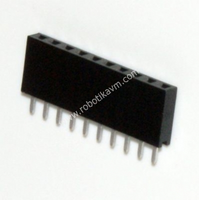 10 Pin Dii Header